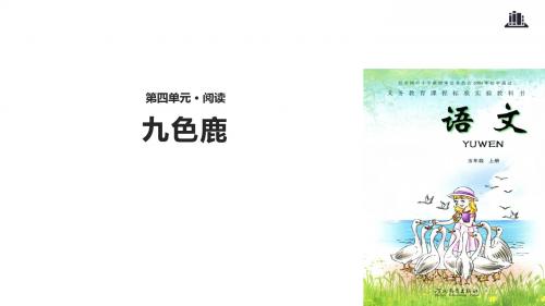 五年级上册语文课件-18九色鹿∣冀教版(共11张PPT)