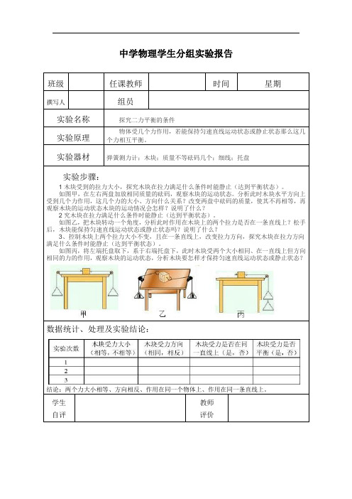 中学物理学生分组实验报告--二力平衡