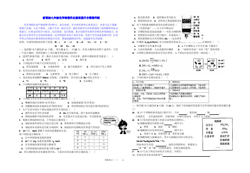 新课标九年级化学寒假作业强效提升分数精华版 (25)