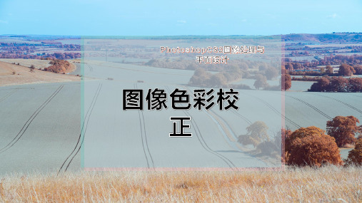 图像色彩校正