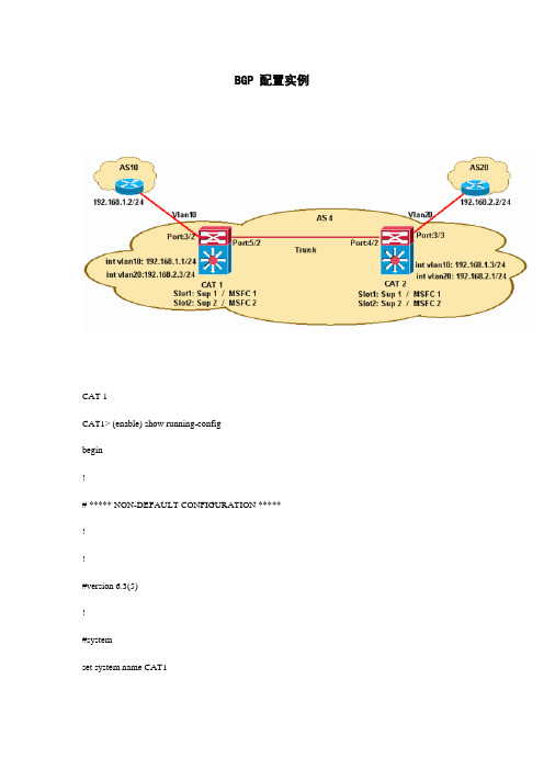 BGP 配置实例