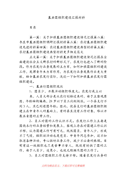 基层团组织建设汇报材料(精品范文).doc