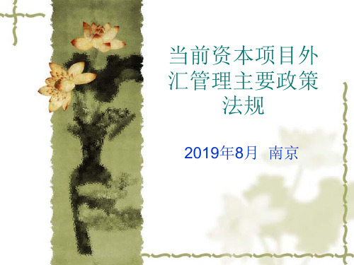 2019年最新-资本项目外汇管理政策-精选文档