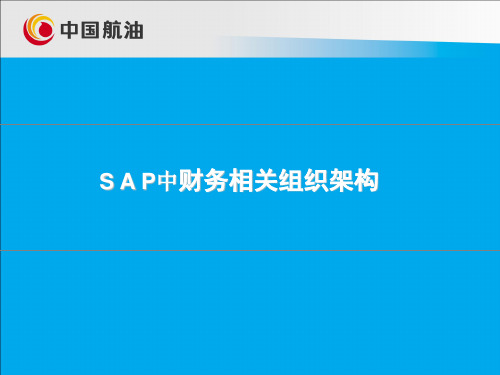 中国航油之SAP中财务相关组织架构