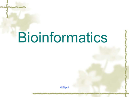 《生物信息学》PPT课件