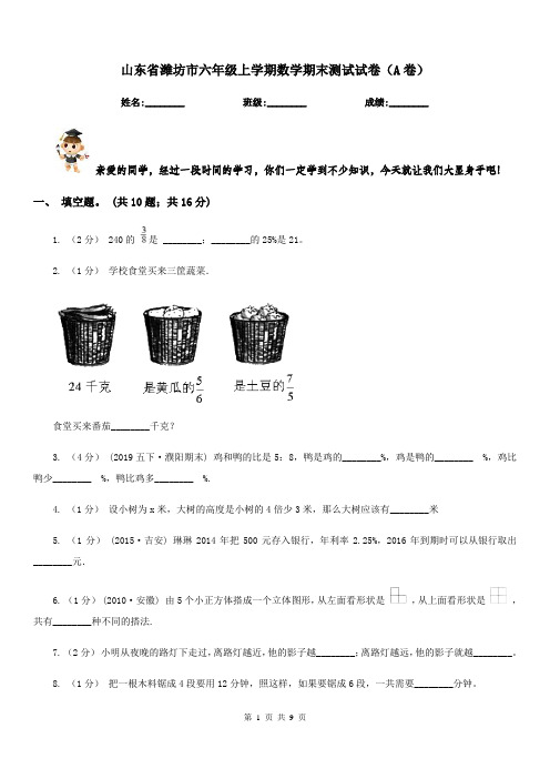 山东省潍坊市六年级上学期数学期末测试试卷(A卷)