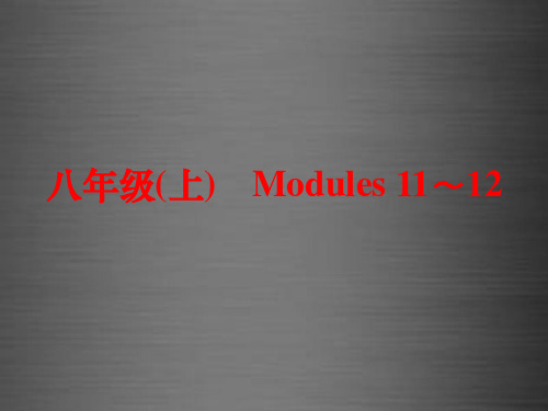 中考英语一轮复习 教材梳理跟踪训练 八上 Modules 11-12课件 外研版