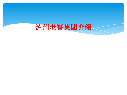 泸州老窖集团介绍