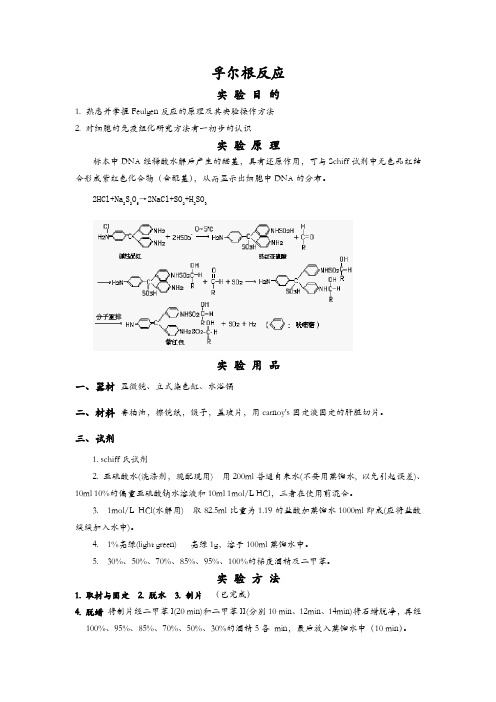 孚尔根反应