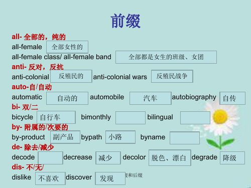 词缀前缀和后缀 ppt课件