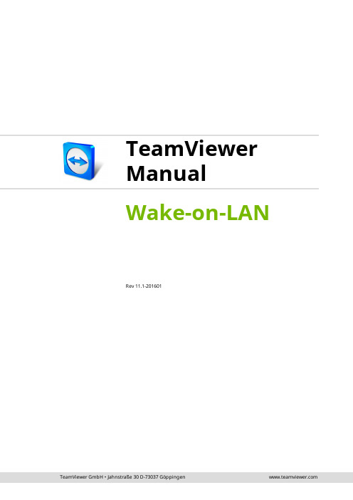 TeamViewer 唤醒网络功能说明书