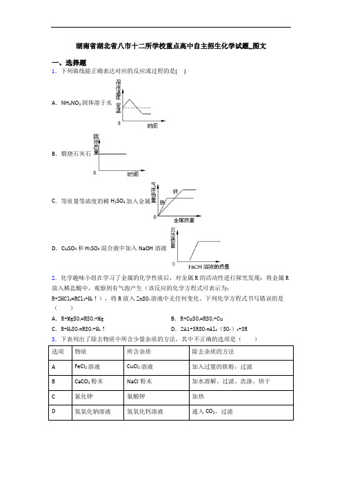 湖南省湖北省八市十二所学校重点高中自主招生化学试题_图文