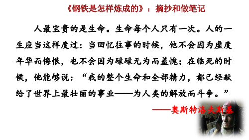 2020春新人教八年级语文下册 名著导读 《钢铁是怎样炼成的》：摘抄和做笔记