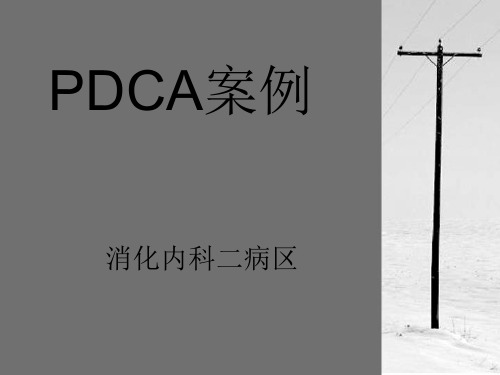 消化内科二病区PDCA(2015年01月)