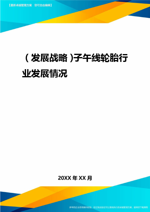 2020年(发展战略)子午线轮胎行业发展状况