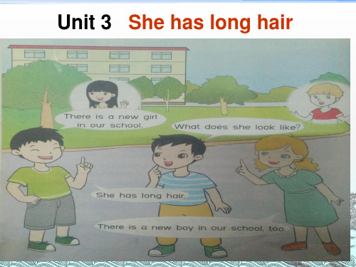 五年级上册英语课件-Unit3 She has long hair｜湘鲁版(共12张PPT)