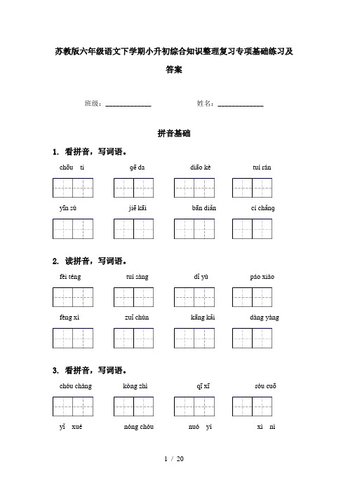 苏教版六年级语文下学期小升初综合知识整理复习专项基础练习及答案
