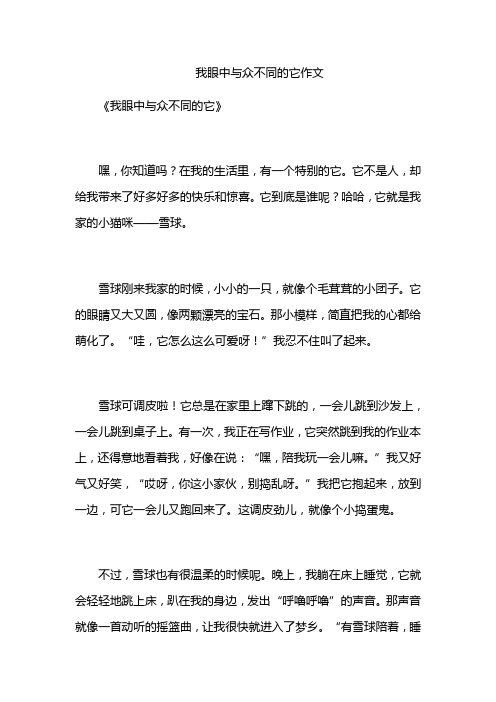 我眼中与众不同的它作文