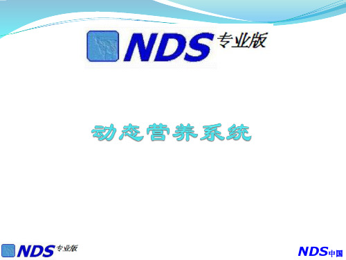 NDS介绍