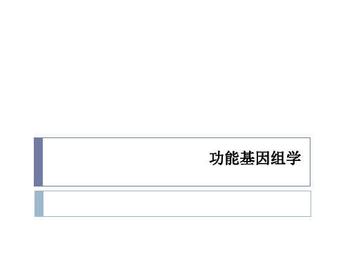 功能基因组学ppt课件