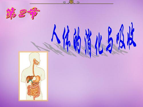 【苏教版】七年级生物下册：9.2《人体的消化与吸收》(2)ppt课件