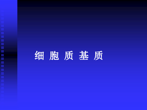 细胞质基质的化学成分12内膜系统讲课教案