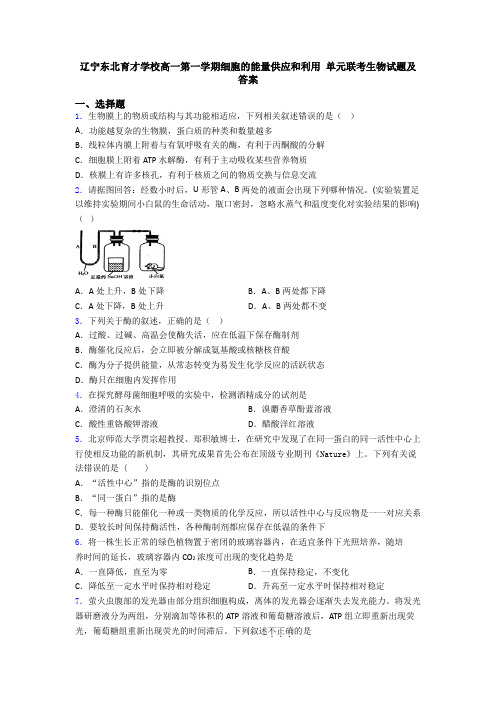 辽宁东北育才学校高一第一学期细胞的能量供应和利用 单元联考生物试题及答案