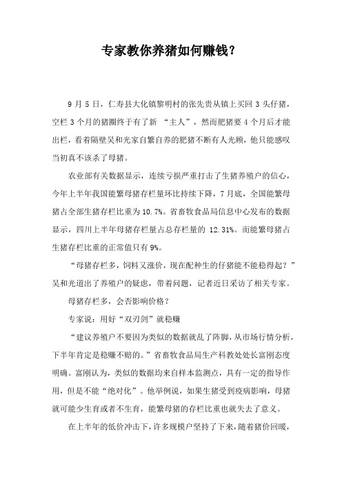 专家教你养猪如何赚钱?