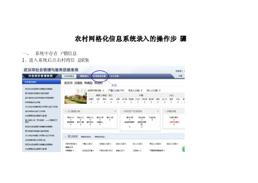 农村网格化信息系统录入的操作步骤