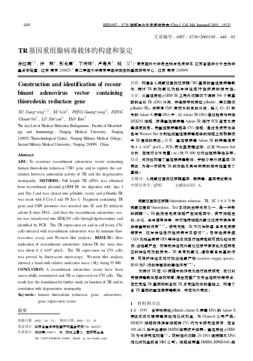 TR基因重组腺病毒载体的构建和鉴定