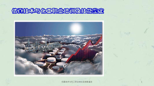 仿真技术与化工职业培训及技能鉴定课件