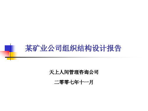 某矿业公司组织结构设计报告