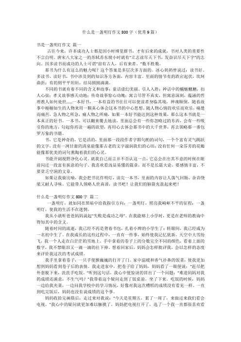 什么是一盏明灯作文800字(优秀9篇)