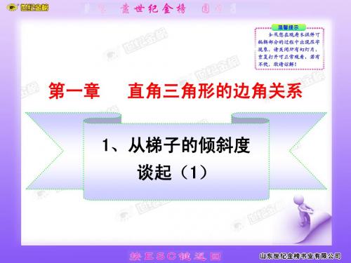 九年级上册数学课件人教版1.1、从梯子的倾斜度谈起(1)