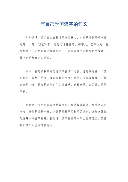 写自己学习汉字的作文