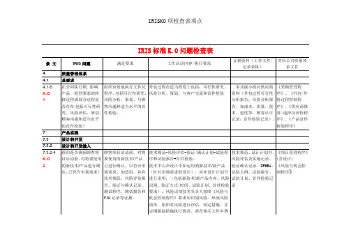 IRISKO项检查表项点