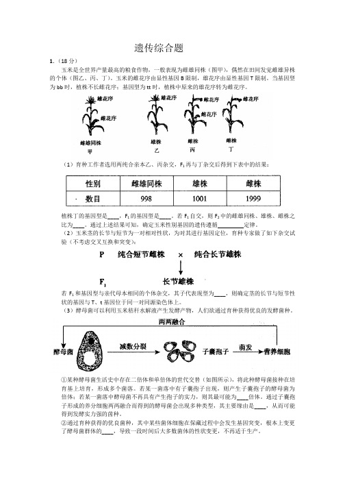 高考生物遗传综合题