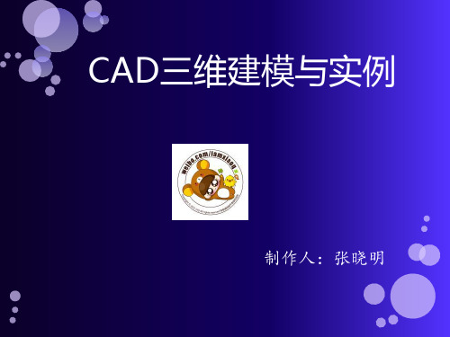 CAD绘图教程三维建模精品文档