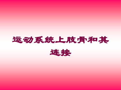 运动系统上肢骨和其连接培训课件