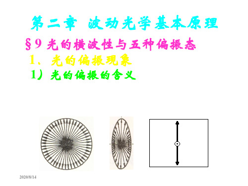 大学光学经典课件L12光的横波性与五种偏振态教学提纲