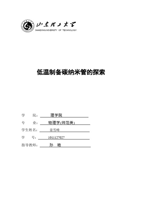 姜雪峰论文
