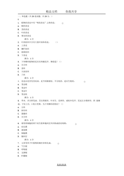 中国医科大学2016年12月考试《药用植物学》考查课试题