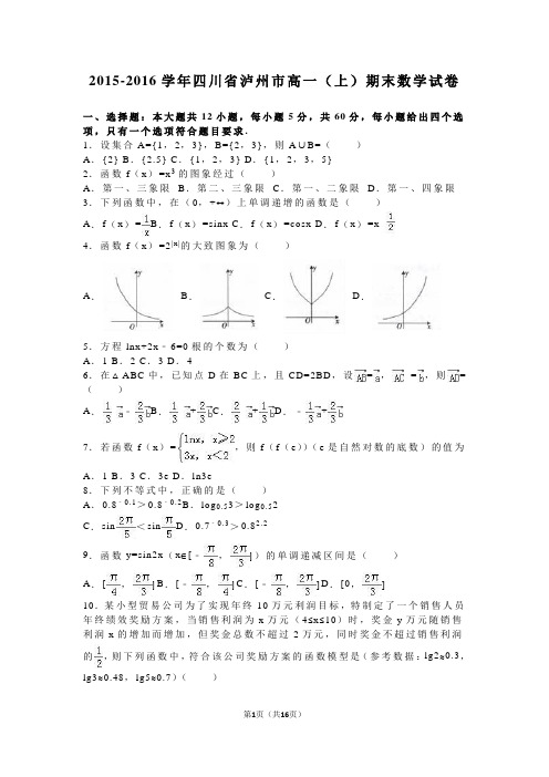 四川省泸州市2015-2016学年高一(上)期末数学试卷(解析版)