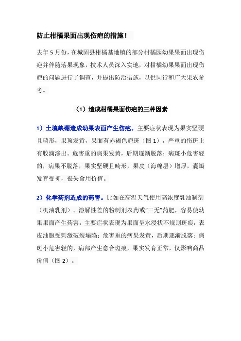 防止柑橘果面出现伤疤的措施