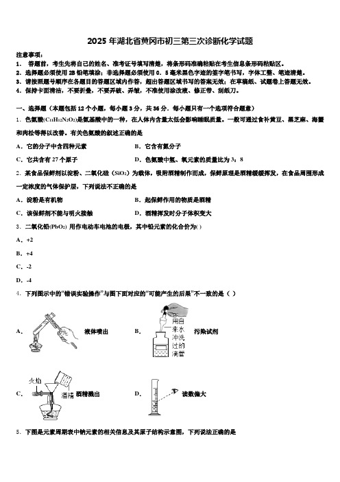 2025年湖北省黄冈市初三第三次诊断化学试题含解析