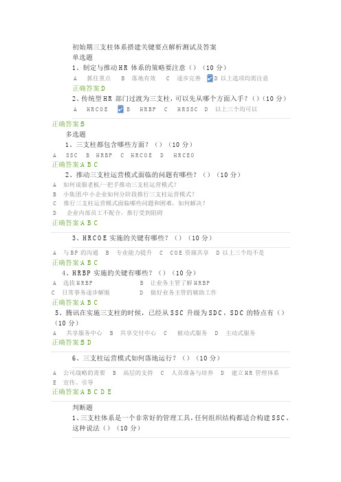 初始期三支柱体系搭建关键要点解析测试及答案