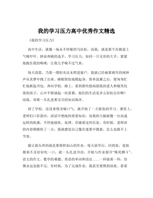 我的学习压力高中优秀作文精选