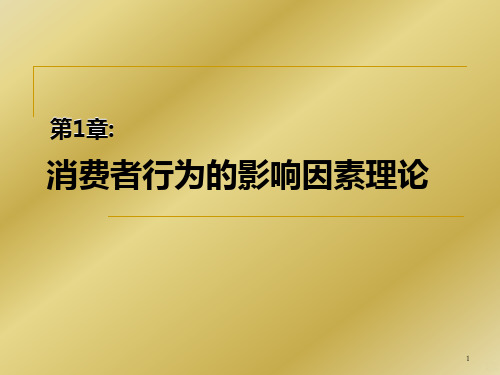 消费者行为的影响因素理论PPT课件