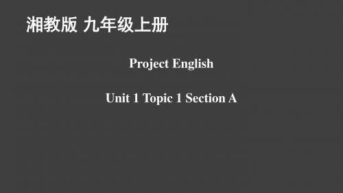 仁爱英语九年级上册第一单元Topic 1SectionA(共30张PPT)