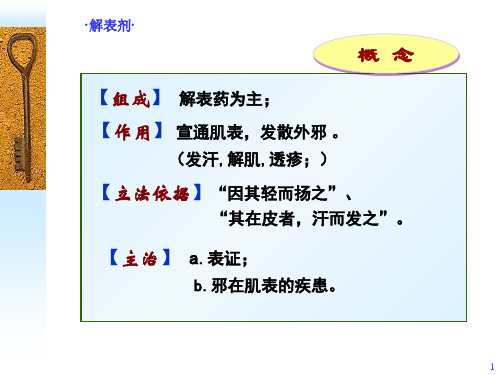 广州中医药大学方剂学解表剂